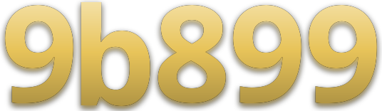 9b899 logo